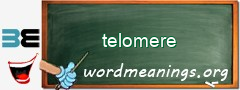 WordMeaning blackboard for telomere